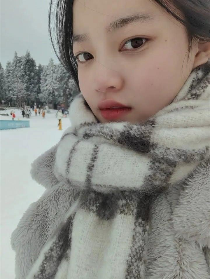 Snow Winter Wonderland Photo